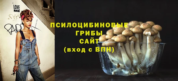 spice Алексин