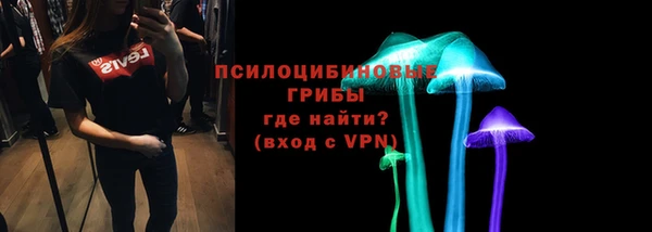 spice Алексин