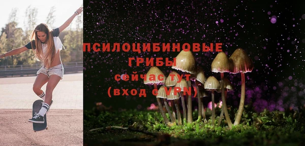 спиды Алексеевка