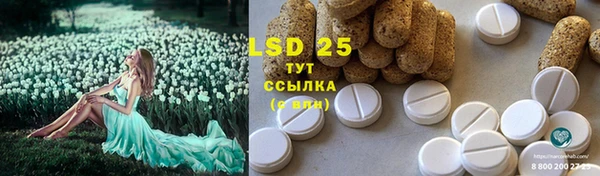 spice Алексин
